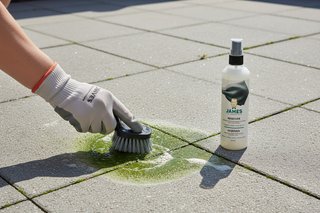 Algengroen verwijderen: groene aanslag veilig en effectief aanpakken (met James)