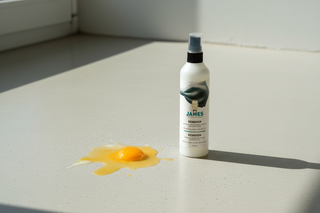 Ei verwijderen uit tapijt, bank of vloer: het praktische stappenplan met James