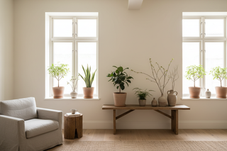 Planten snoeien in februari: een rustig huis begint bij frisse groei