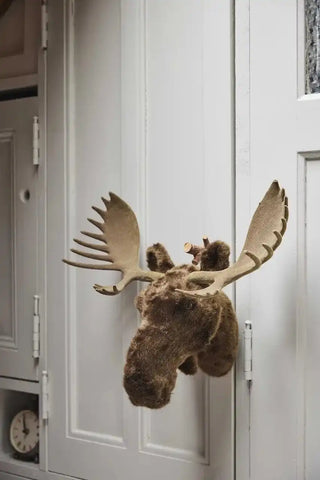 Eland hoofd 34cm - Het Adres