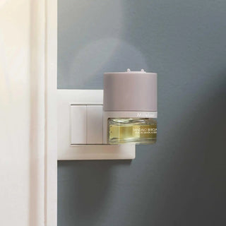 Difusor de varillas 500ml Sandalo Bergamotto