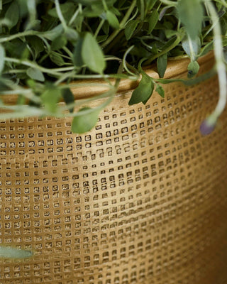 Vasi per piante spot oro - 2 pezzi