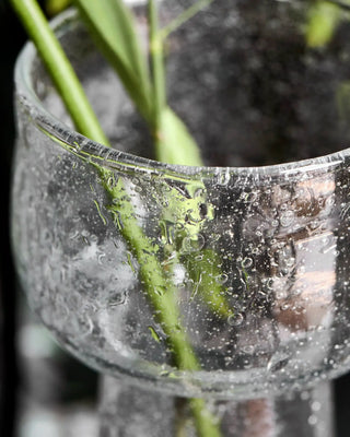 Vase Tuur klares Glas 22 cm