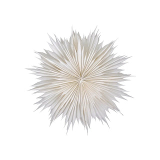 Papieren ster Dust gebroken wit 60cm