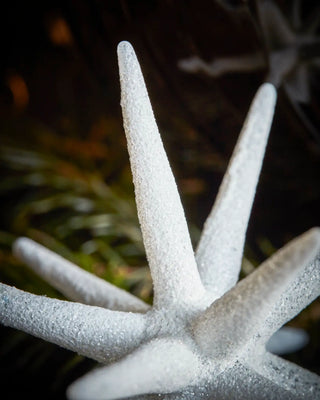 Kerstster Spike wit glitter glas groot - 4 stuks