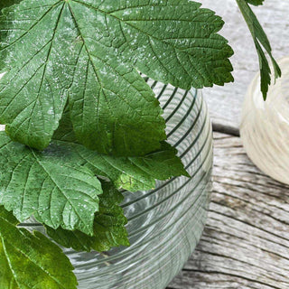 Vaas Swirl groen 23cm - Het Adres