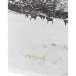 Kerstkaarten Winter met envelop - 6 kaarten