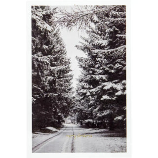 Kerstkaarten Winter met envelop - 6 kaarten