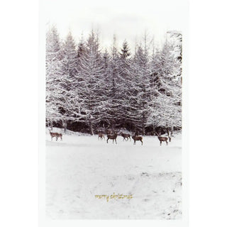 Kerstkaarten Winter met envelop - 6 kaarten