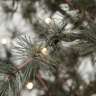 Kerstboom Pin natuur 220cm - Het Adres