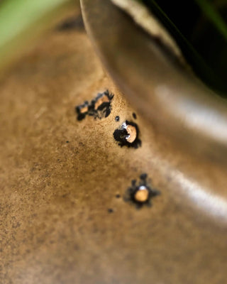 Vaso Casa marrone 14cm