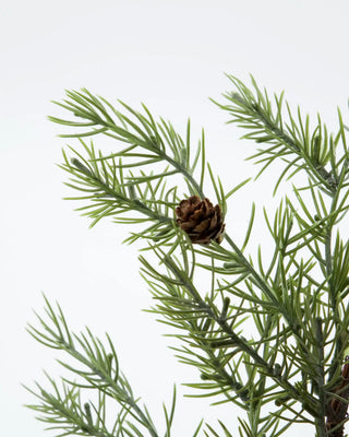 Slinger Sertum groen 185cm