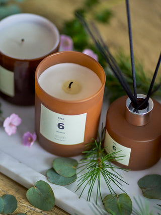 Diffuseur de parfum en verre brun n° 6 sequoia - 100ml