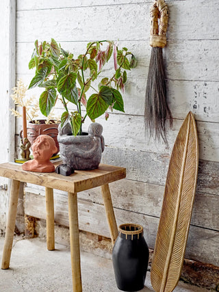 Decoratie mango zwart Sture