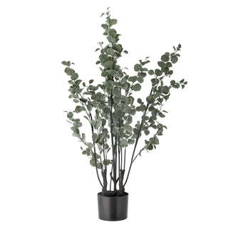 Eucalyptus plant groen 117cm