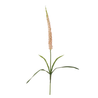 Foxtail roze