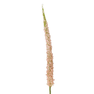 Foxtail roze