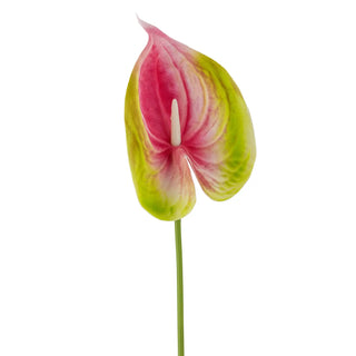 Flamingo bloem kunst roze