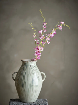 Ramas de orquídea rosas