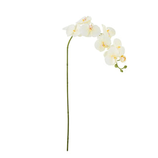 Orchid branch artificial flower white Bloomingville