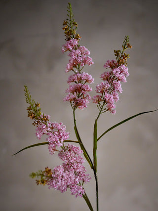 Hortensiagren lyserød