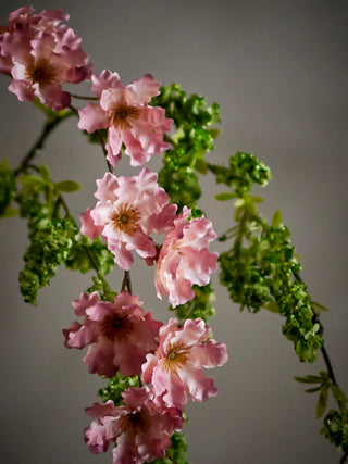 Rama de cerezo silvestre rosa