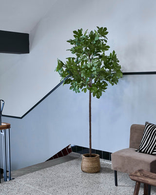 Kunstplant Fig groen Ø23×230 cm