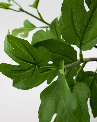 Kunstplante Fig grøn Ø40×81 cm