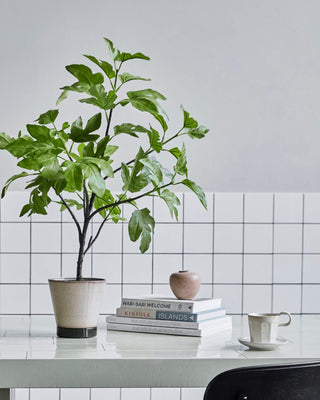Kunstplante Fig grøn Ø40×81 cm