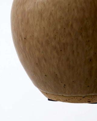 Tino vaasbiege - 2 stuks