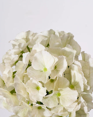 artificial flower Hydrangea white