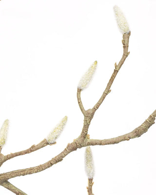 Artificial branch Leaves white