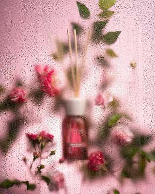 Duftstäbchen 100ml Ambra & Rosa