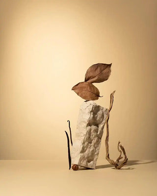 Nachfüllung für Duftstäbchen 250ml Petali di Tabacco