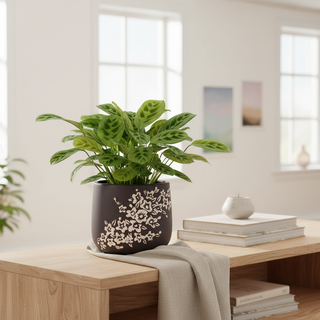 Betino bloempot lifestyle foto