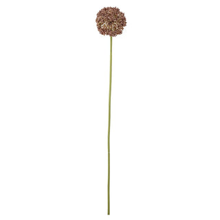 Allium kunstbloem bruin van Bloomingville, duidelijk als hoofdfoto afgebeeld