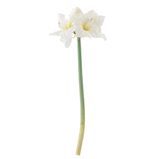 Amaryllis stengel wit 74cm van Bloomingville, duidelijk als hoofdfoto afgebeeld