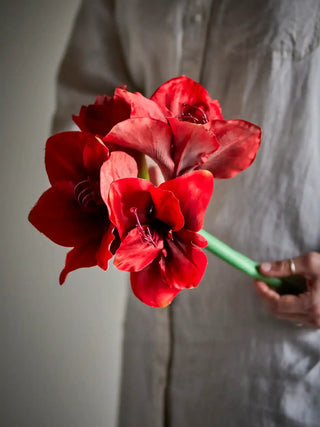 Amaryllis tak rood van Bloomingville, toegepast in een sfeervolle interieursetting