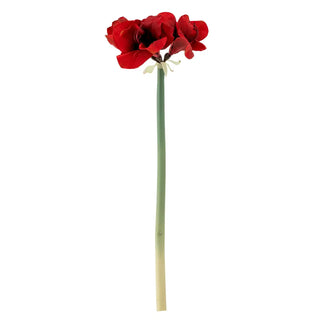 Amaryllis tak rood van Bloomingville, duidelijk als hoofdfoto afgebeeld