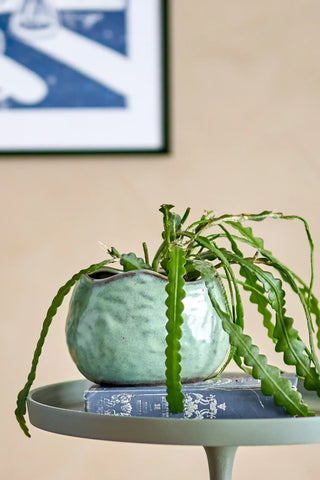 Bloempot aardewerk groen Pennie 16cm van Bloomingville, toegepast in een sfeervolle interieursetting