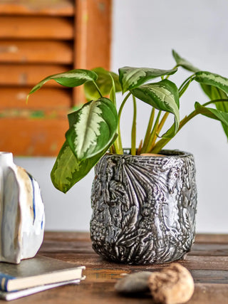 Bloempot terracotta zwart Nikou Deco 18cm van Bloomingville, toegepast in een sfeervolle interieursetting