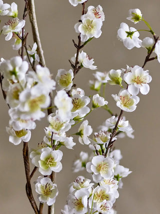 Bloesemtak Apple wit 153cm van Bloomingville, toegepast in een sfeervolle interieursetting