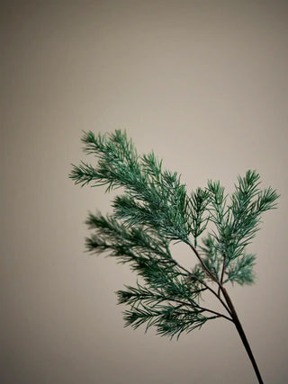 DennentakPine groen 73cm van Bloomingville, toegepast in een sfeervolle interieursetting