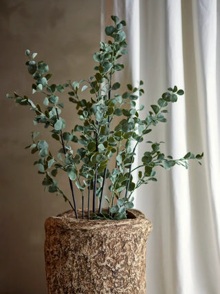 Eucalyptus plant groen 117cm van Bloomingville, toegepast in een sfeervolle interieursetting