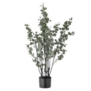 Eucalyptus plant groen 117cm van Bloomingville, duidelijk als hoofdfoto afgebeeld