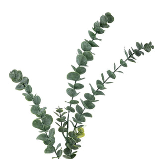 Eucalyptus tak groen van Bloomingville, duidelijk als hoofdfoto afgebeeld