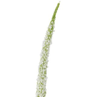 Foxtail kunstbloem wit van Bloomingville, duidelijk als hoofdfoto afgebeeld