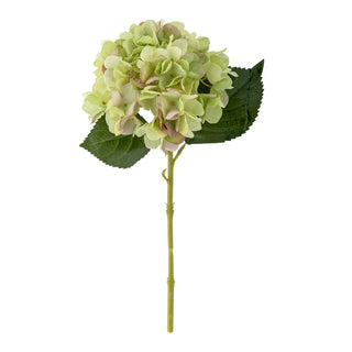 Hortensia kunstbloem wit 36cm van Bloomingville, duidelijk als hoofdfoto afgebeeld