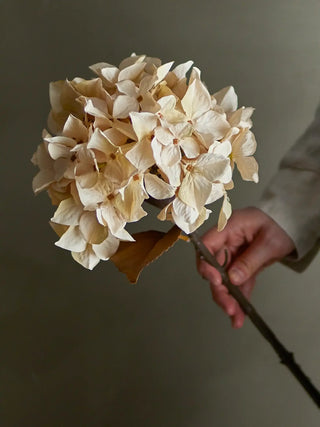 Hortensiastengel kunstbloem nature 65cm van Bloomingville, toegepast in een sfeervolle interieursetting