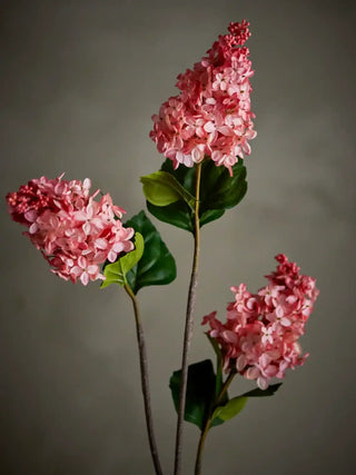 Hortensiatak roze 76cm van Bloomingville, toegepast in een sfeervolle interieursetting